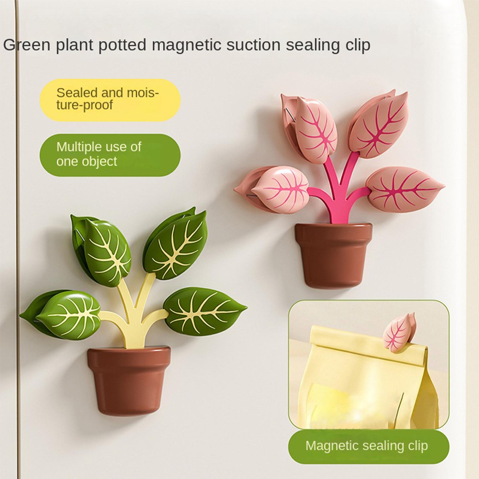 Clips Magnéticos para Sellado  - 3D Printing Vase reseña y precio