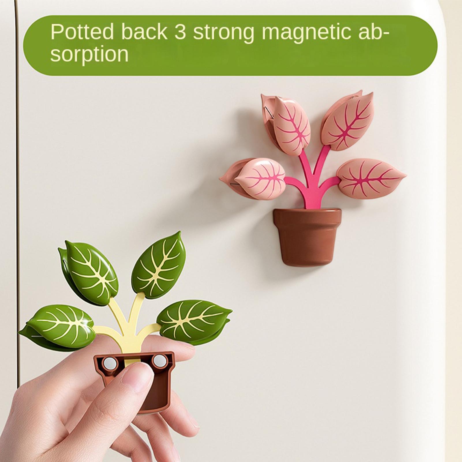 Clips Magnéticos para Sellado  - 3D Printing Vase reseña y precio